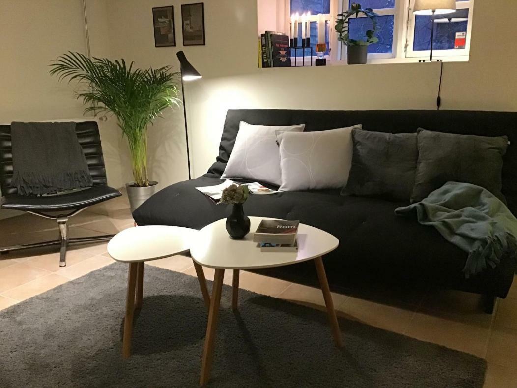 Апартаменты Special Offer,One Of Its Kind, Extremely Central In Herning, Danish Hosts, Extremely Clean, Very Quiet Street But A Stonethrough From Bars & Restaurants Экстерьер фото